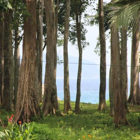 Pearl Park Beach Resort-Neil Island Lakshmanpur Esterno foto