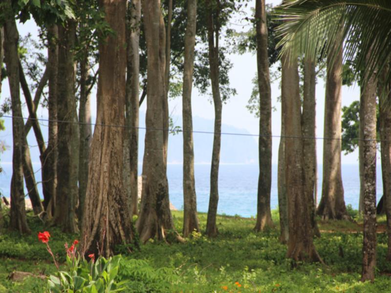 Pearl Park Beach Resort-Neil Island Lakshmanpur Esterno foto
